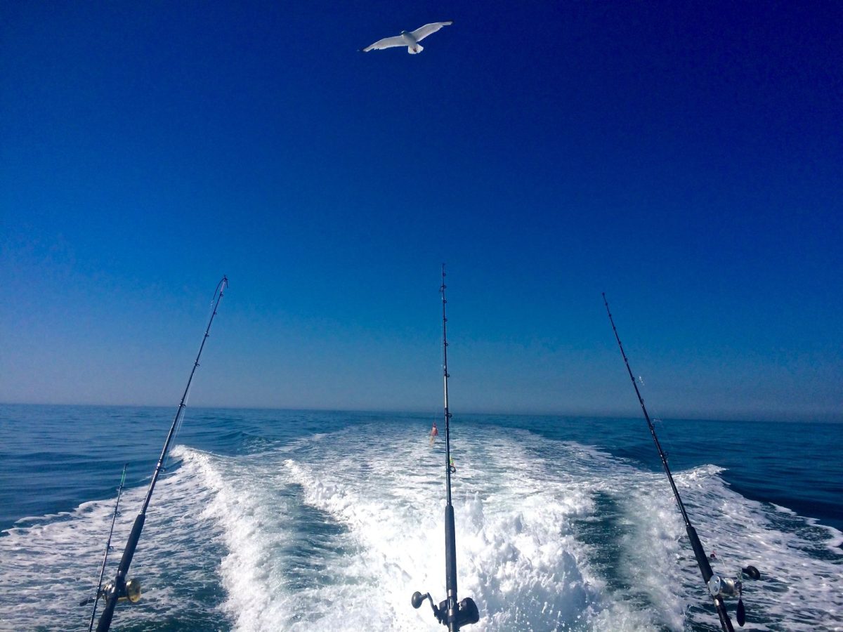 fishing poles on boat on ocean